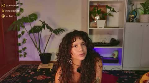 Snapshot of stellart_ chatting on 11.26.25 stellart_ online show from 11.26.25