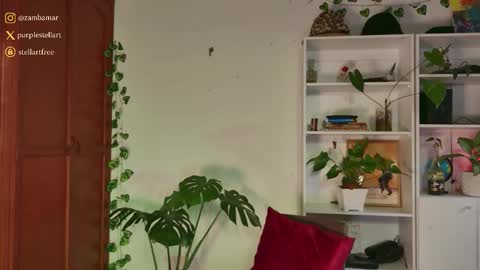 Snapshot of stellart_ chatting on 11.30.25 stellart_ online show from 11.30.25