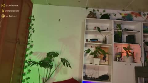 Snapshot of stellart_ chatting on 12.03.25 stellart_ online show from 12.03.25