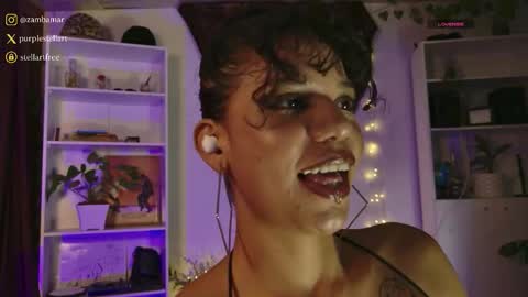 stellart_ online show from 02.05.26