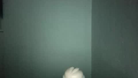 Alpharius 17 online show from 01.19.26