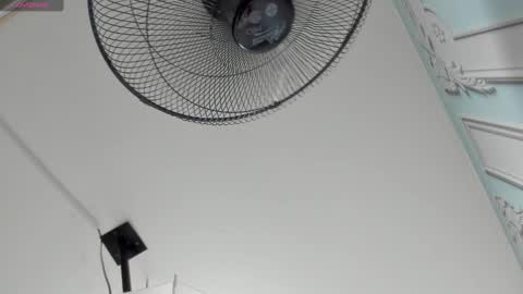         online show from 01.08.25