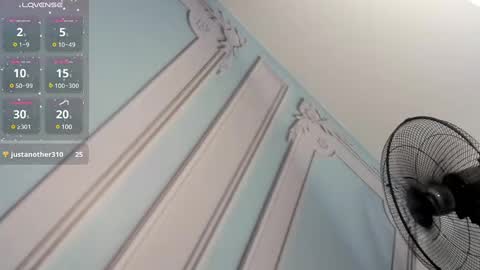         online show from 01.19.25