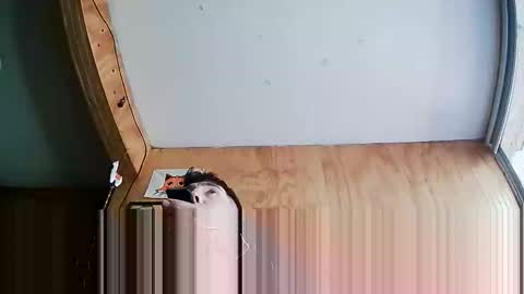 Steve online show from 10.04.25