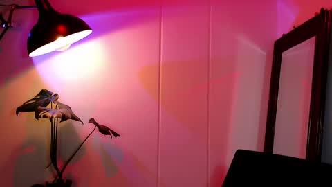 Daniel Steven Navarro online show from 04.05.26