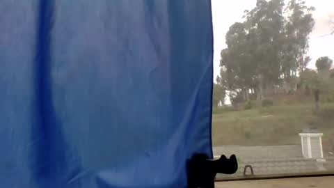 steviehard7 online show from 03.11.25