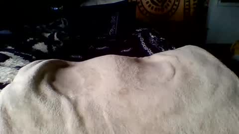 steviehard7 online show from 03.12.25