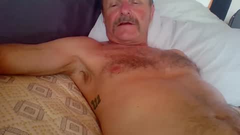 steviehard7 online show from 10.02.25