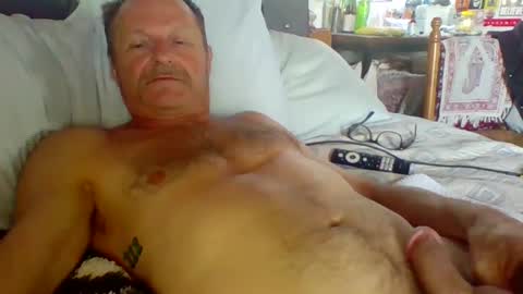 steviehard7 online show from 10.08.25