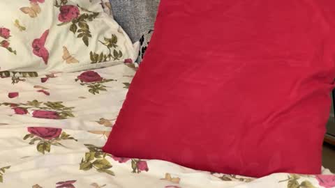 Chris online show from 10.14.25