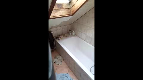 stiffler83pl online show from 03.16.26