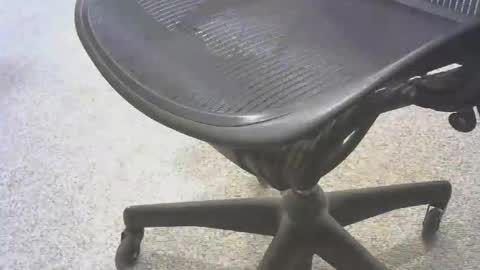 Snapshot of stlhammer68 chatting on 11.06.25 stl hammer online show from 11.06.25