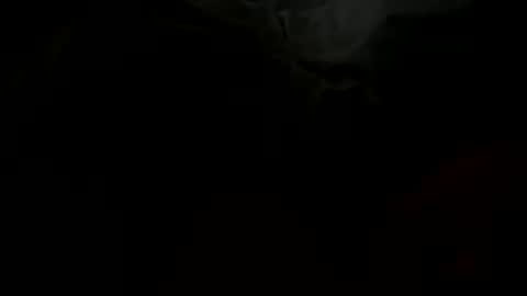 stockungs online show from 02.14.25