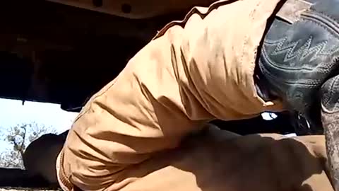 Oval2022 online show from 01.01.25