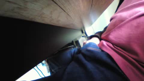 shrek online show from 11.17.25