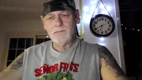 stormynorm14 online show from 01.02.25