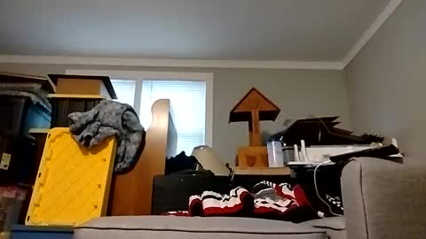 Streetwyze online show from 10.25.25