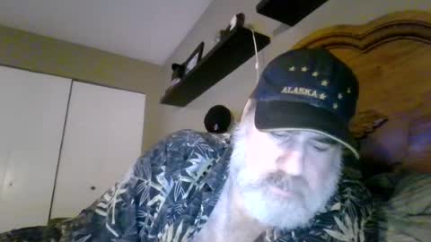 Straightbear4you online show from 07.11.26
