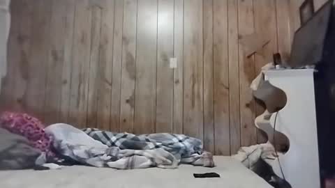 straighttoy online show from 03.03.25