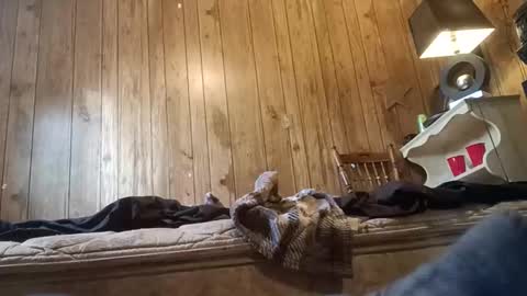 straighttoy online show from 11.03.25