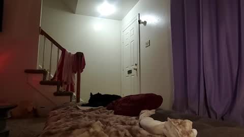 Strawberrylotsacake online show from 09.17.25