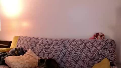 Strawberrylotsacake online show from 11.24.25