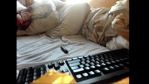 strawboy300 online show from 01.17.25