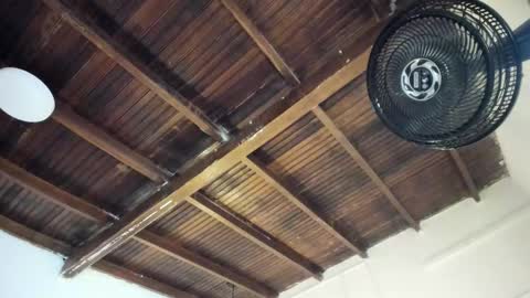 Alexa   online show from 03.25.26