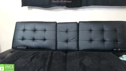 Snapshot of studiowahines chatting on 01.29.25 StudioWahines online show from 01.29.25