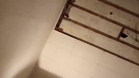 suckmeplease70 online show from 11.02.25