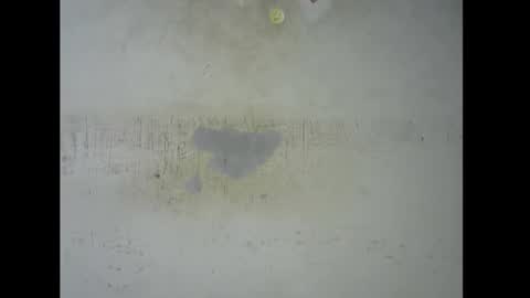 Snapshot of sugarmeltsxx chatting on 11.09.25 Bella online show from 11.09.25