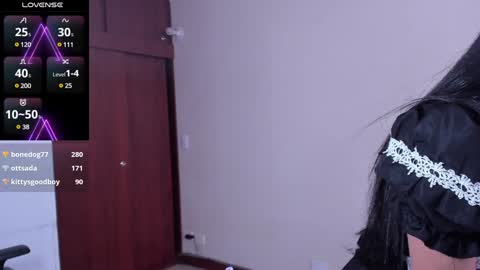Snapshot of sumeragi_cat chatting on 12.13.24 Nicolle online show from 12.13.24