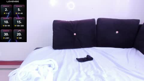 Snapshot of sumeragi_cat chatting on 01.03.25 Nicolle online show from 01.03.25