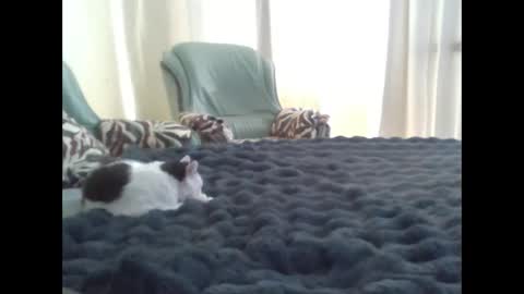 suni online show from 03.10.25