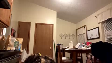 sunnbabe92485 online show from 09.11.25