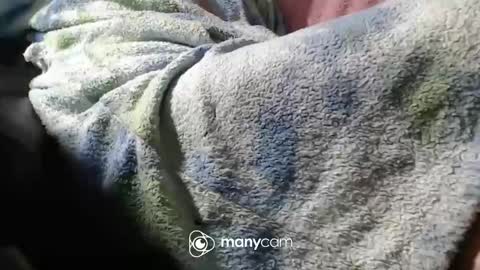 Snapshot of sunnybigboy88 chatting on 11.06.25 sven online show from 11.06.25