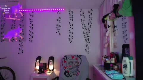 Sunset online show from 04.11.26