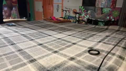 Stony online show from 12.02.24