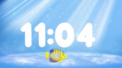 Susan online show from 11.26.25