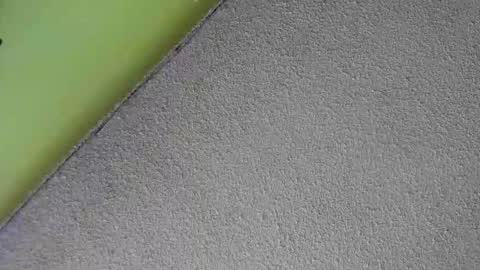 sussan_nasty online show from 12.16.25