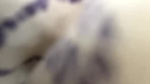 Andy online show from 01.30.25