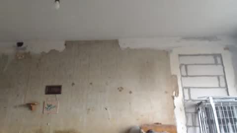 Sveti online show from 02.01.25