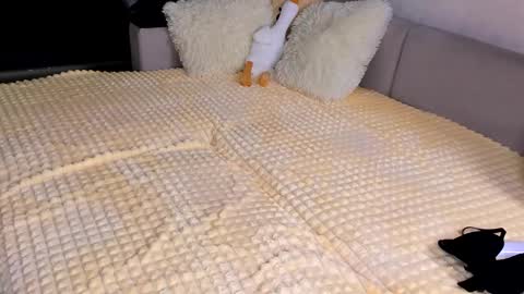 Alice online show from 11.15.25