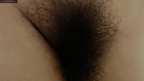 Barbara online show from 01.11.26