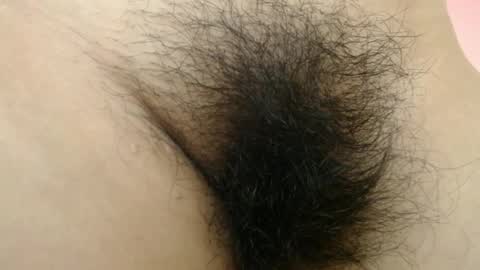 Barbara online show from 03.31.26