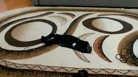 Sweet bluegirl online show from 03.06.26