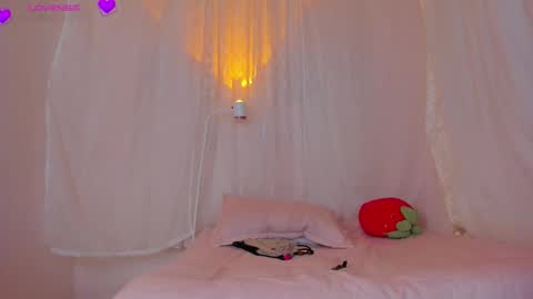 camil online show from 09.13.25