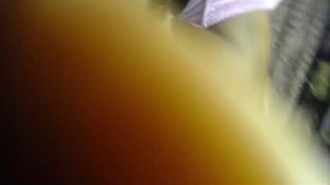 Snapshot of sweet_kush chatting on 06.22.26 Kush online show from 06.22.26