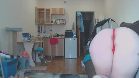 TexasPAWG101 online show from 02.25.26