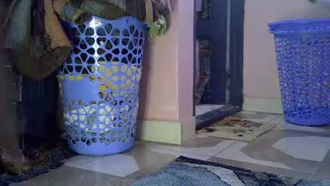 Lisa online show from 02.01.26